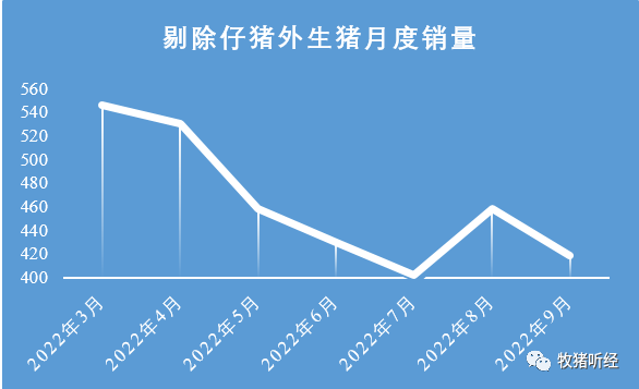 “一哥”前三季度出栏数据简析 - 图2