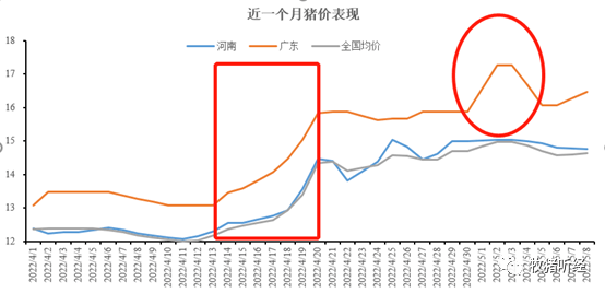 “禁运令”引发拔葱行情，风动还是幡动 - 图2