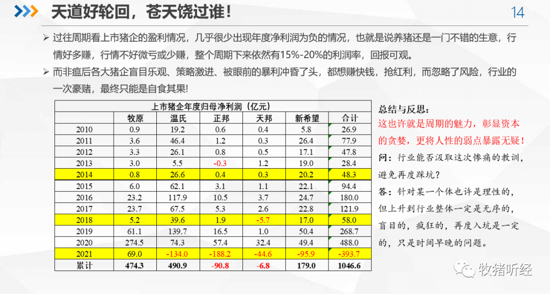 2022年下半年猪市分析 - 图13