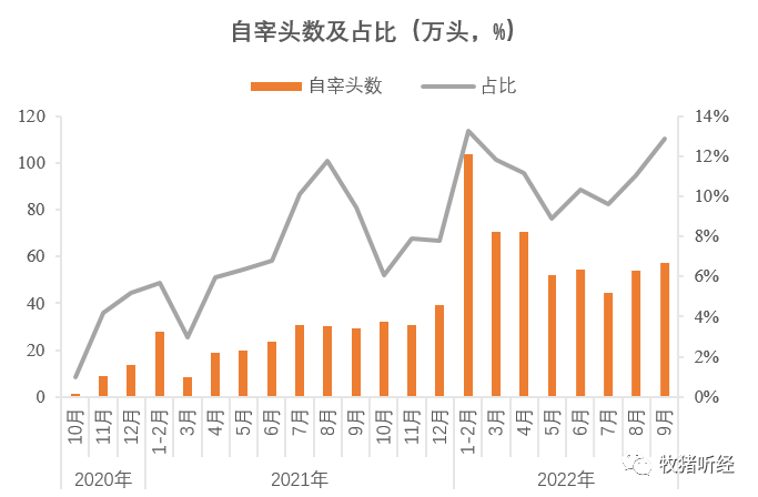 “一哥”前三季度出栏数据简析 - 图5