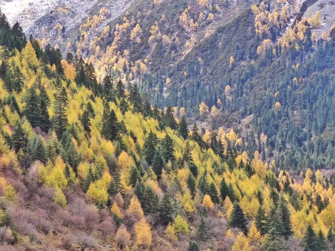 *攀登美女神山夏羌拉，它是川西最美最小众的5000米级雪山 - 图20