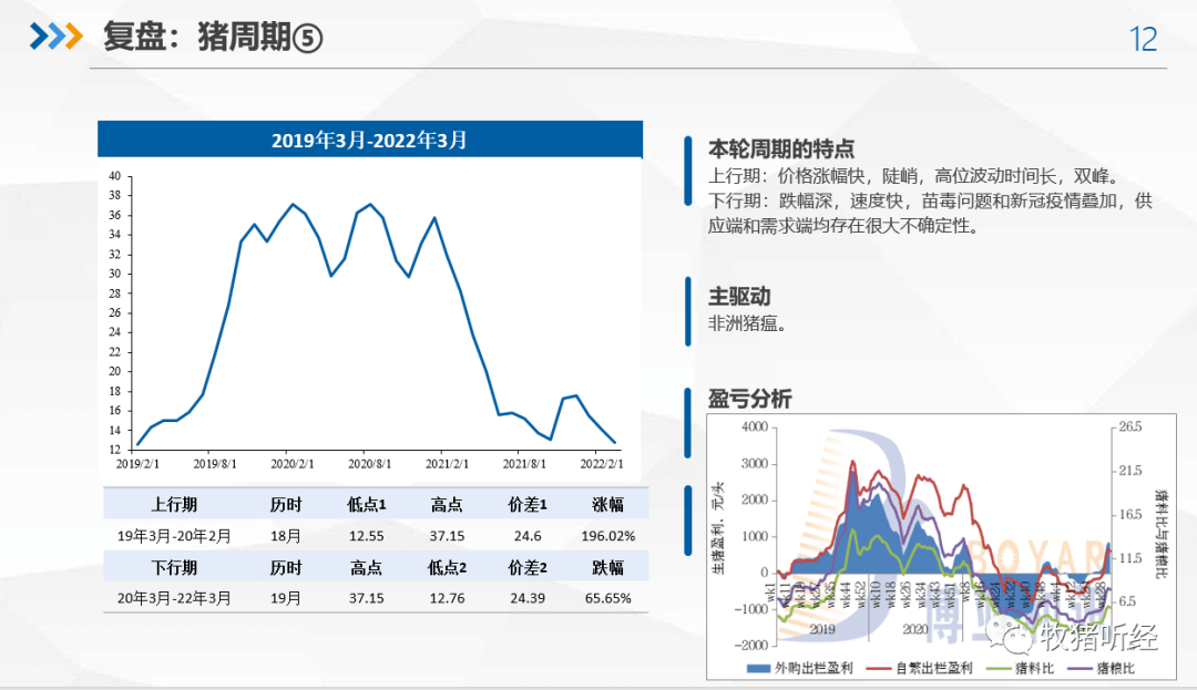 2022年下半年猪市分析 - 图11