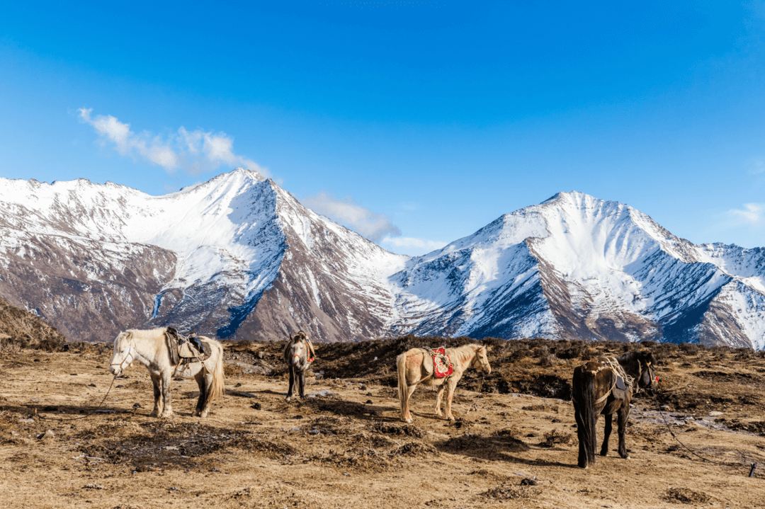 十座入门级雪山，你最想Pick哪一座？ - 图17