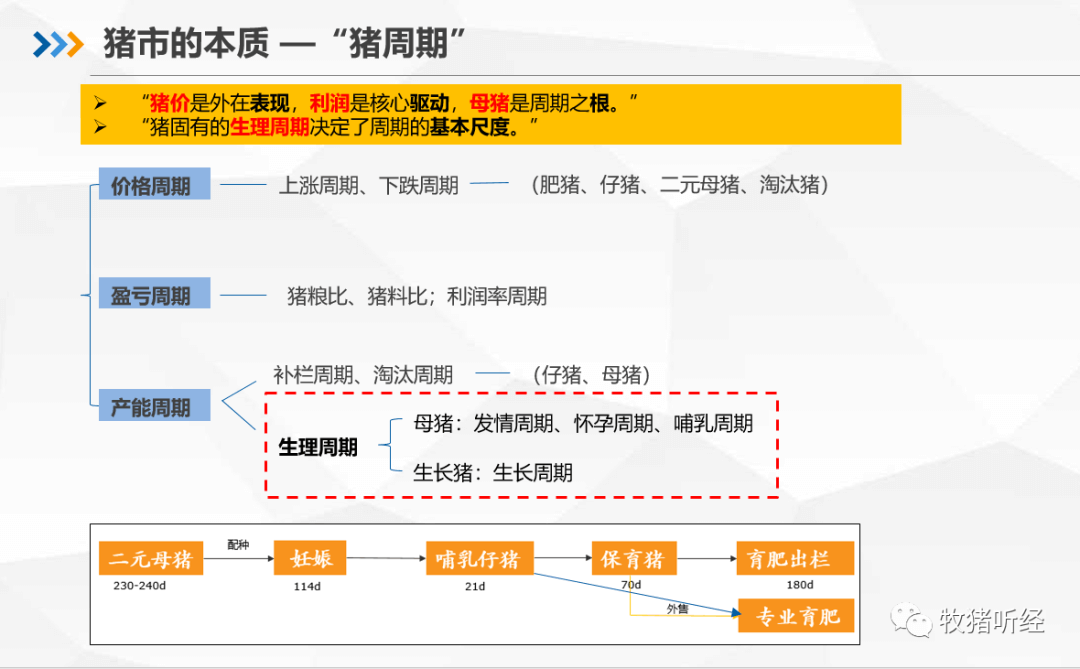 2022年下半年猪市分析 - 图5