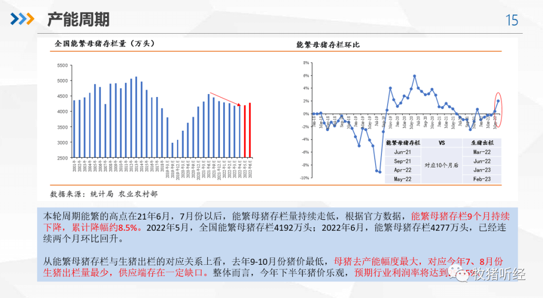 2022年下半年猪市分析 - 图14