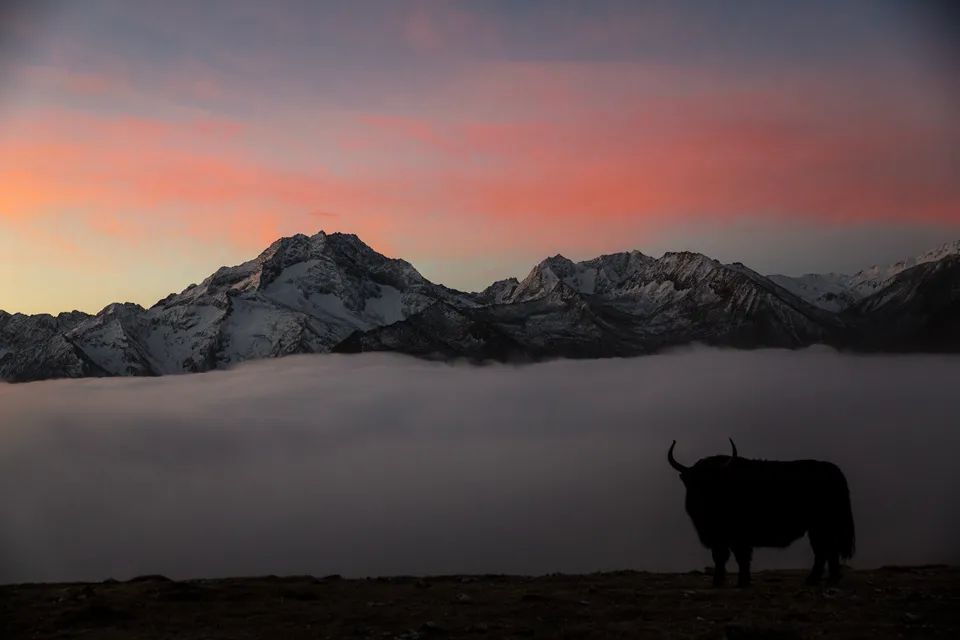 攀登奥太娜5210M - 图13