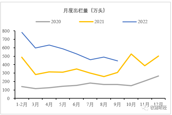 “一哥”前三季度出栏数据简析 - 图1