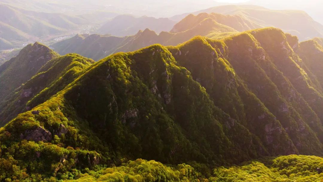 旅行 | 重庆，含仙量爆炸！ - 图12