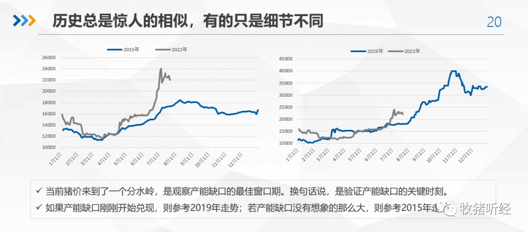 2022年下半年猪市分析 - 图18