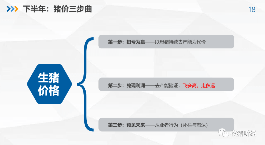 2022年下半年猪市分析 - 图16