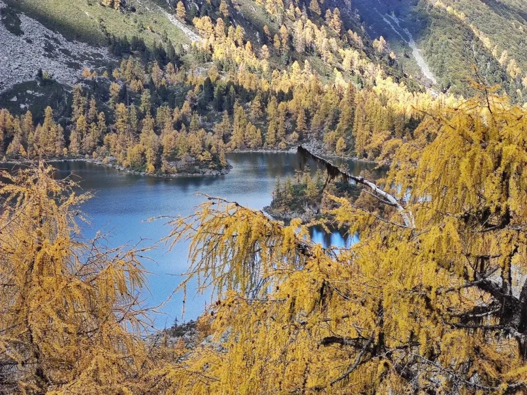 *攀登美女神山夏羌拉，它是川西最美最小众的5000米级雪山 - 图48