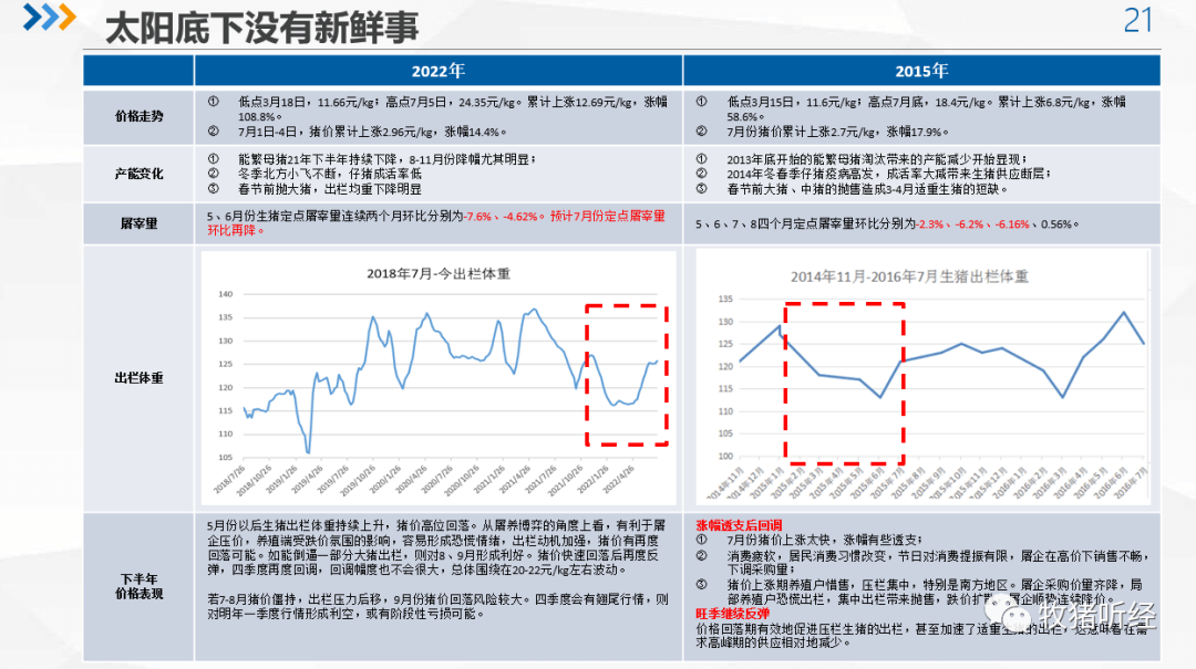 2022年下半年猪市分析 - 图19