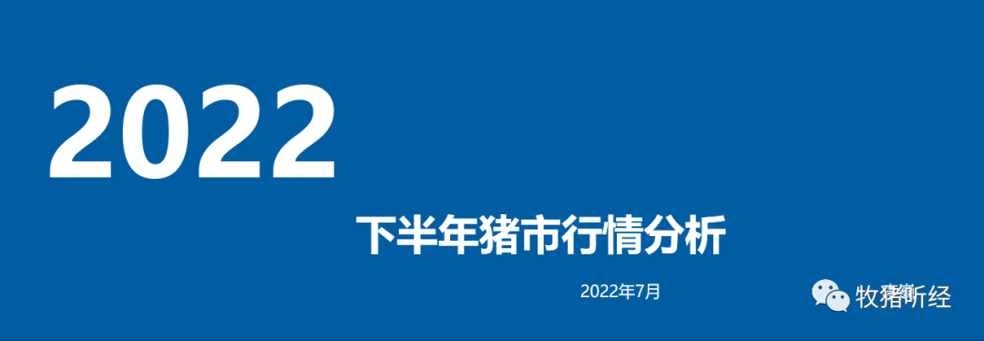 2022年下半年猪市分析 - 图1