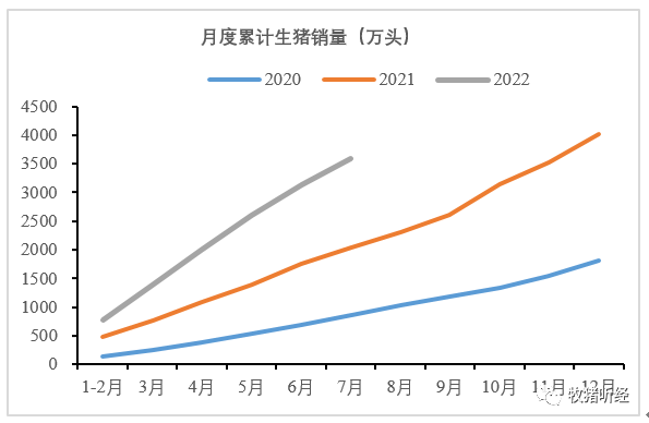 部分上市公司7月生猪销售数据简析 - 图2