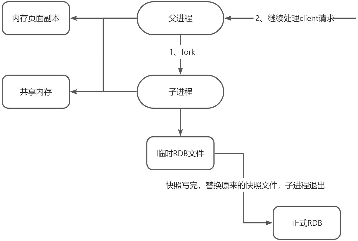 Reids - 图8