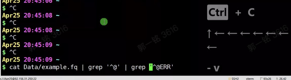 grep2.jpg