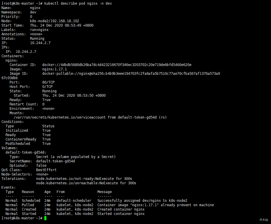 查看名称为dev的namespace下的Pod的名称为nginx的详细信息.png