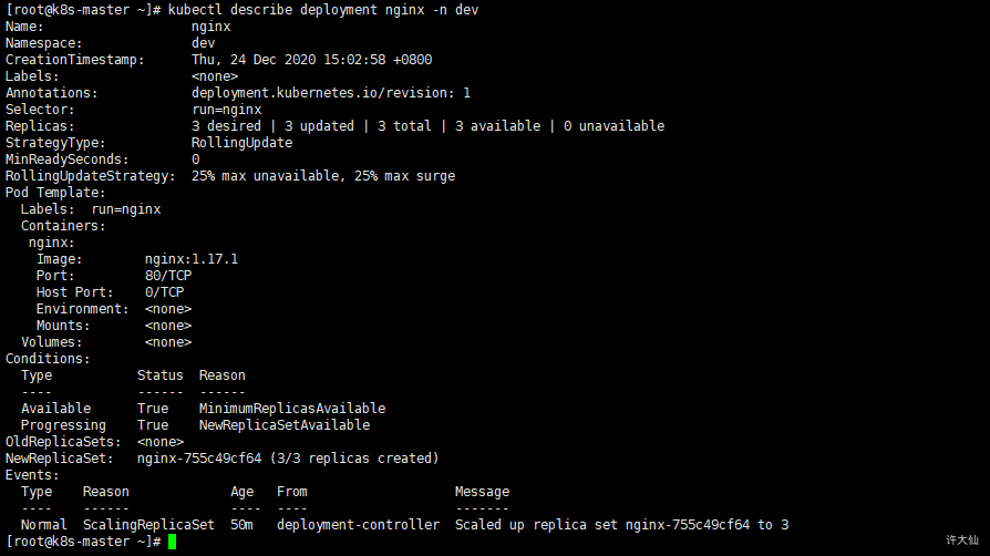 查看名为dev的namespace下的名为nginx的deployment的详细信息.png