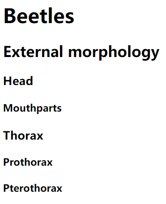 03-字符实体与语义标签 - 图6