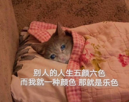 05-选择器权重与长度单位、颜色单位 - 图5