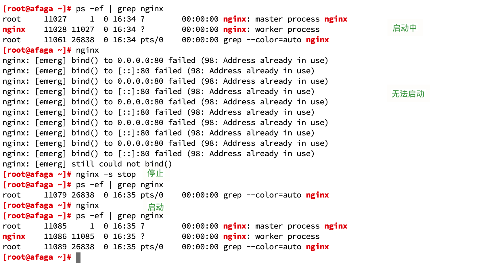 nginx 尚硅谷笔记 - 图5