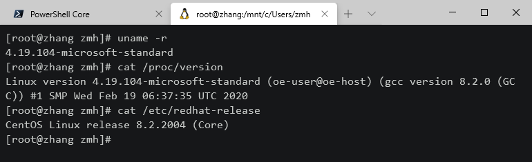 WSL2子系统安装CentOS8及开发环境 - 图6