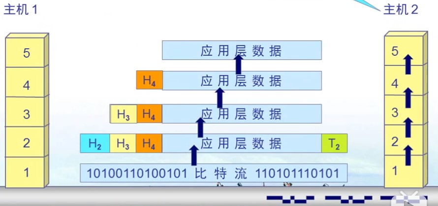 计网 - 图4