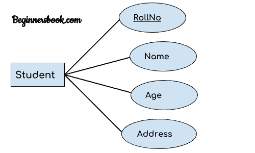 实体关系图 - DBMS 中的 ER 图 - 图5