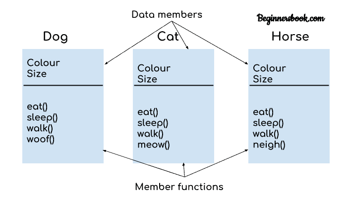 Kotlin 继承 - 图1