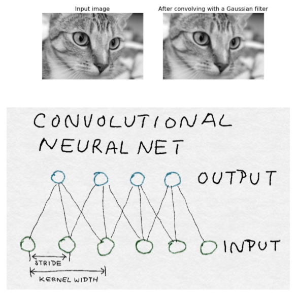 八、自动化特征提取器:图像特征提取和深度学习 - 图19