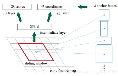 Faster RCNN详解_小白的深度学习的博客-CSDN博客_faster rcnn - 图10