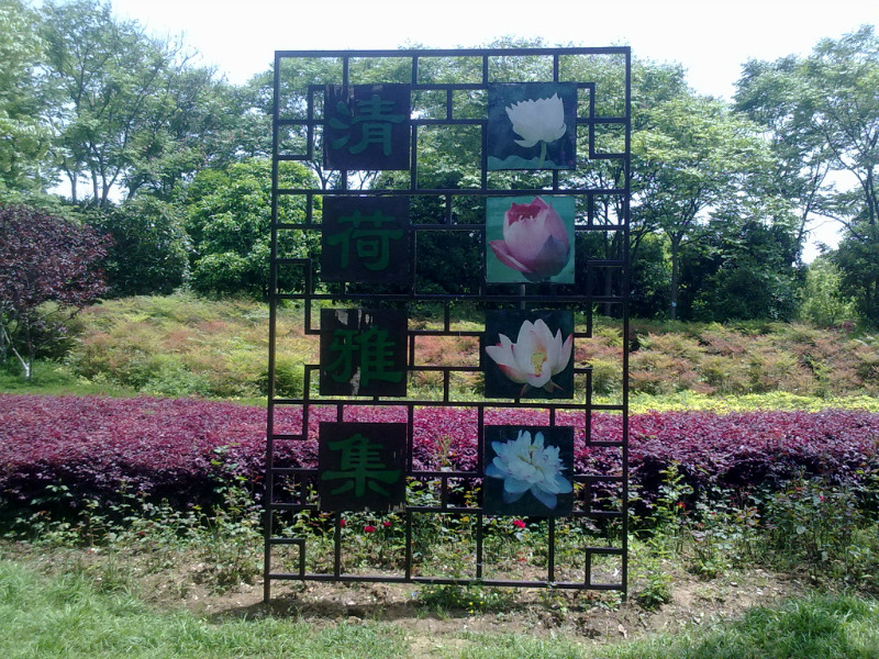 02.jpg