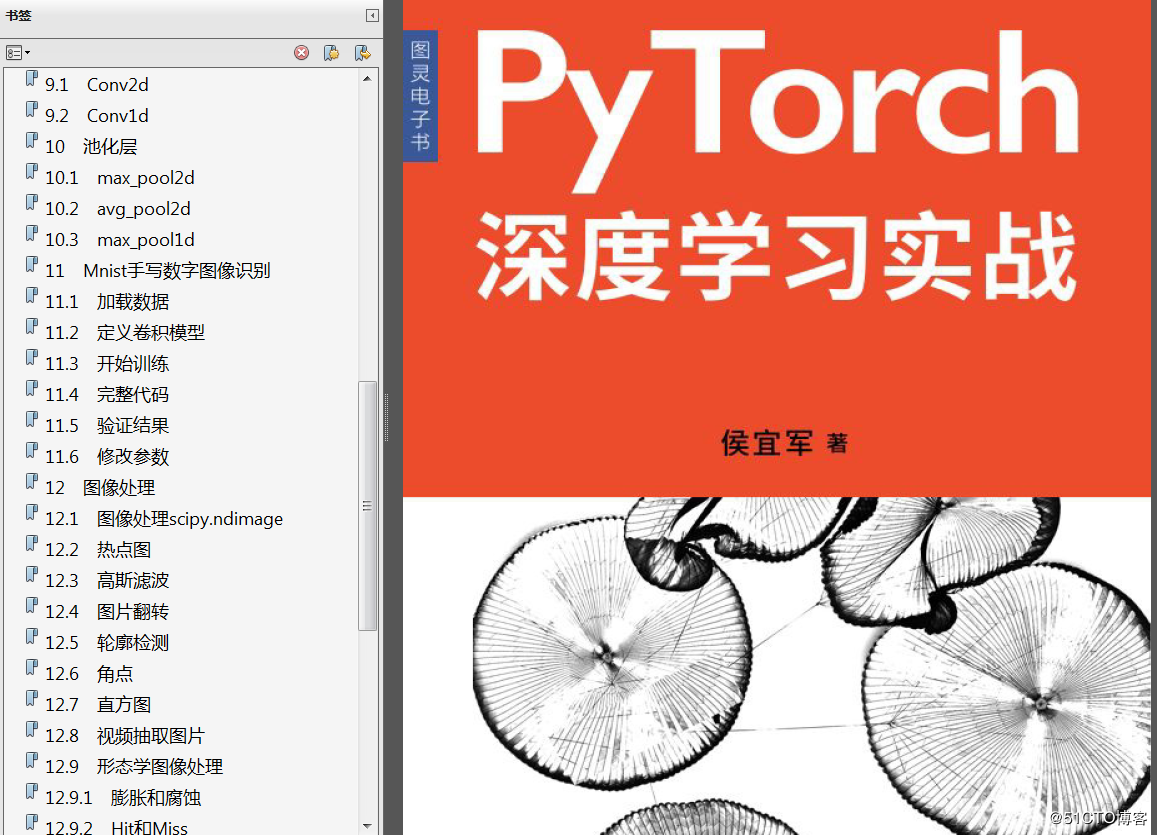 《深度学习之PyTorch实战计算机视觉》PDF 《Keras图像深度学习实战》PDF 《PyTorch深度学习实战》PDF代码 - 图4
