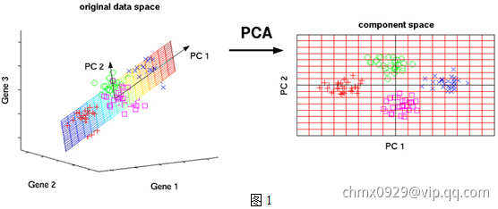 PCA1.jpg