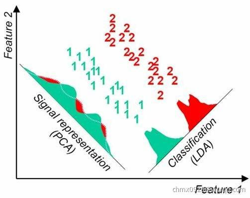 PCA vs LDA.jpg