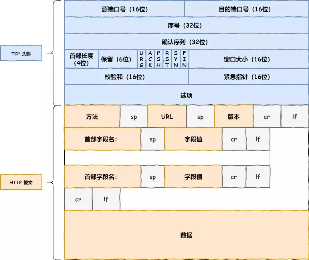 当键入网址后，到网页显示，其间发生了什么 - 图21