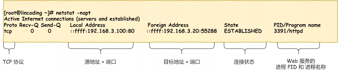 当键入网址后，到网页显示，其间发生了什么 - 图15