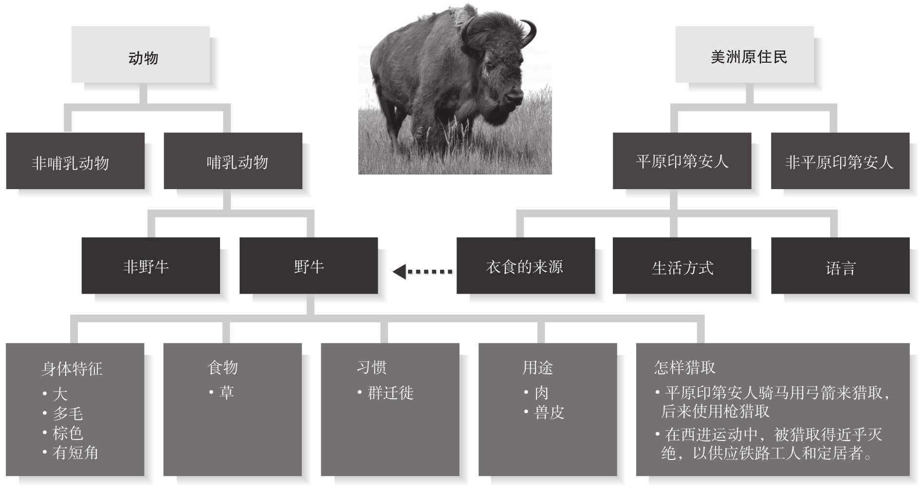 6　学习的信息加工理论和认知理论 - 图6