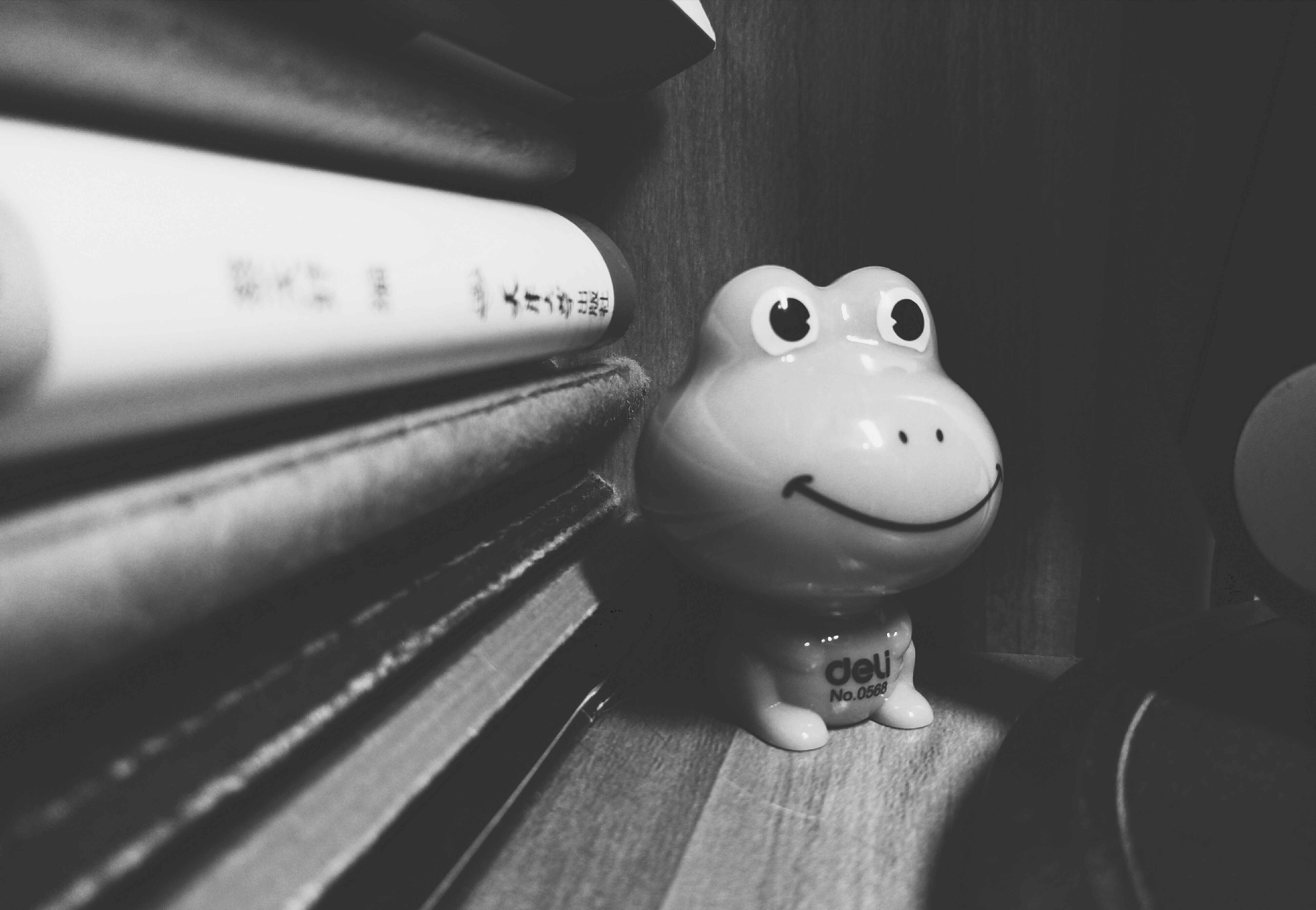 微笑的小青蛙.jpg