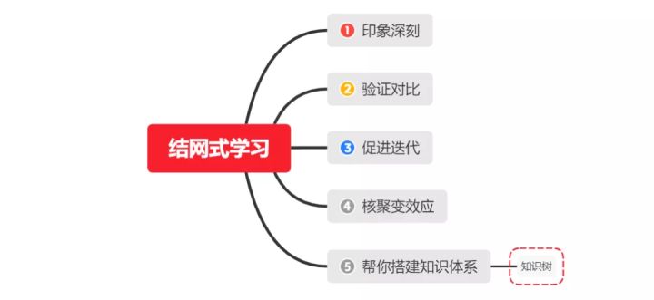 知识树：一个即将颠覆整个时代的学习方法 - 图13