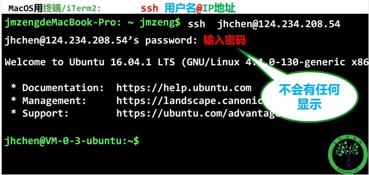 服务器日常使用指南 - 图12