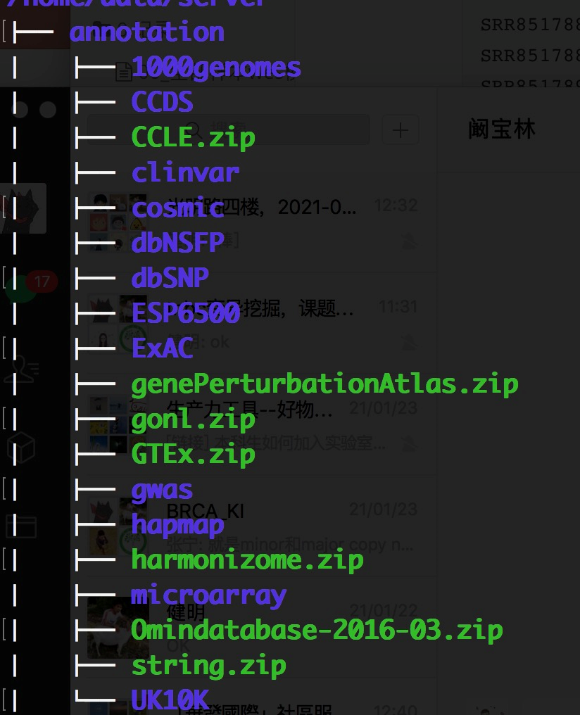 服务器日常使用指南 - 图1