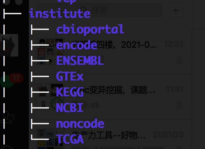 服务器日常使用指南 - 图4