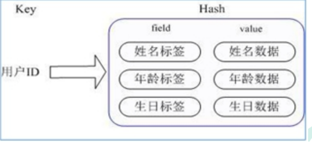 redis-数据类型 - 图4