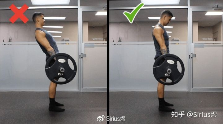 硬拉 DEADLIFT - 图14