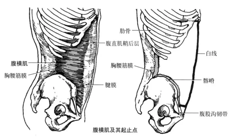 Jeff-每日训练平坦下腹 - 图1