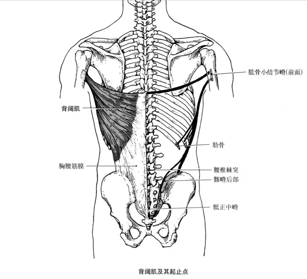 Jeff-体态改善 - 图1