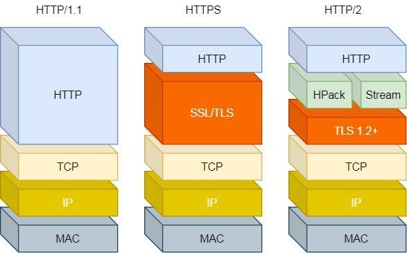 HTTP1.0/1.1/2 /3 的演变 - 图2