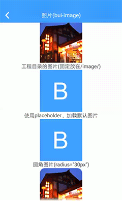 图片 (bui-image) - 图1