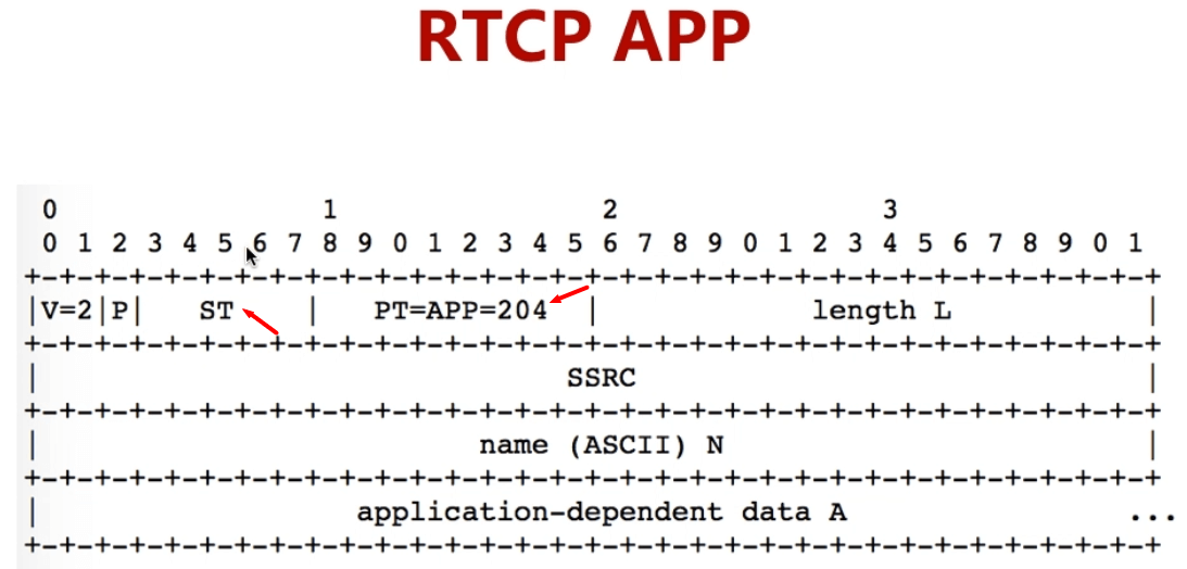 第9章 UDP/RTP/RTCP 详解 - 图19